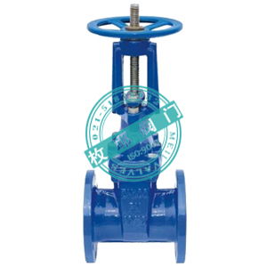 軟密封明桿彈性座封閘閥Z41X,RRHX 上海枚耶閥門 www.famen163.com圖片_高清圖_細節(jié)圖-上海枚耶閥門 -